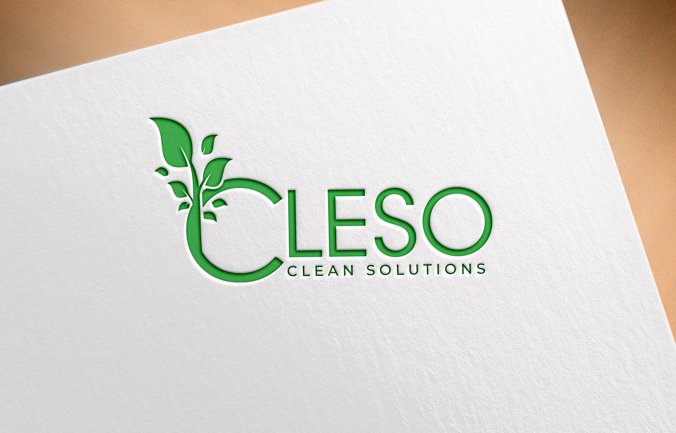Cleso GmbH – Professionelles Handelsunternehmen