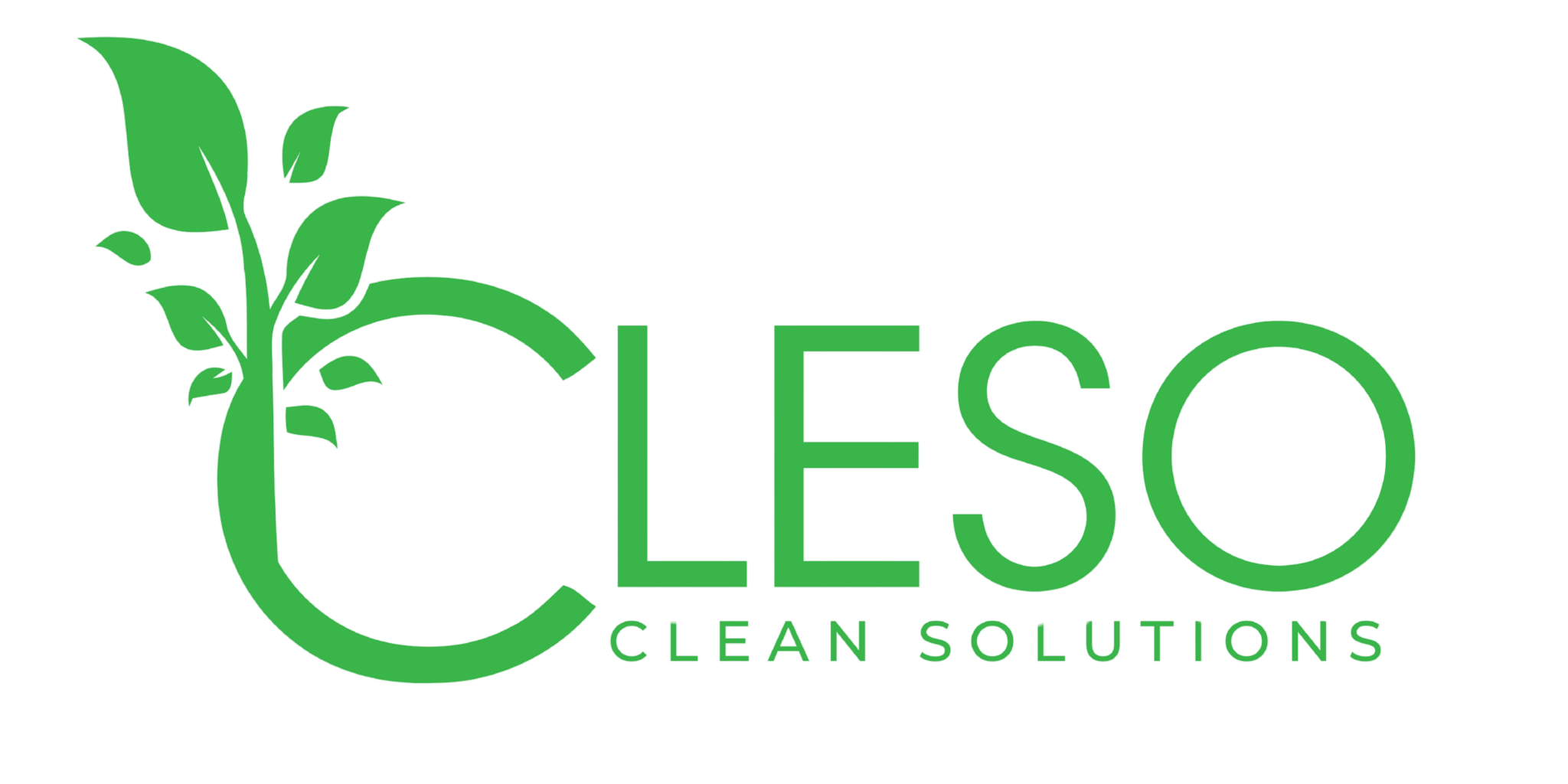 Cleso GmbH Logo